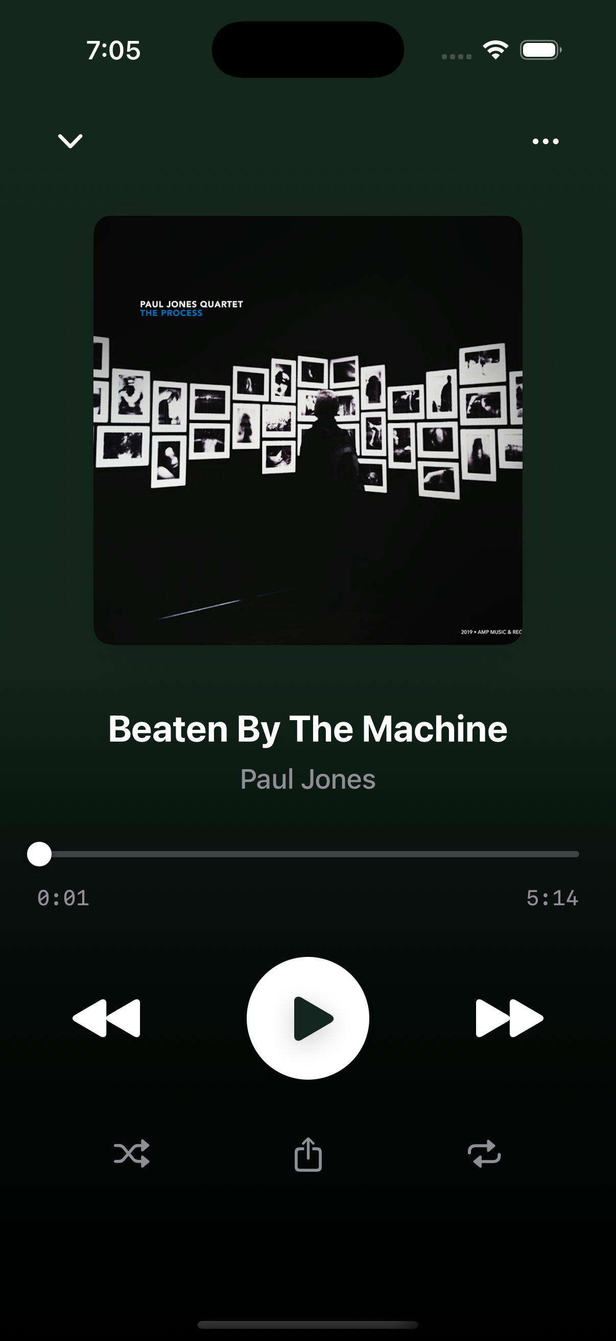 TerribleCat Music Player - Artist-Friendly Streaming Player Interface